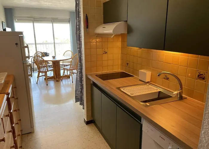 Climatise Avec Wifi Et Parking A 100m De La - Fr-1-106-51 Apartmán Saint-Cyprien (Pyrenees-Orientales)