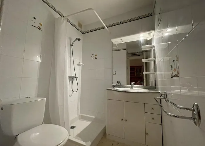 Climatise Avec Wifi Et Parking A 100m De La - Fr-1-106-51 Apartmán Saint-Cyprien (Pyrenees-Orientales)
