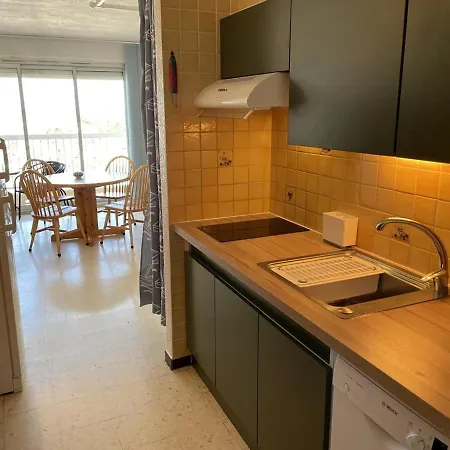 Climatisé Avec Wifi Et Parking à 100m De La - Fr-1-106-51 Appartement Saint-Cyprien (Pyrenees-Orientales)