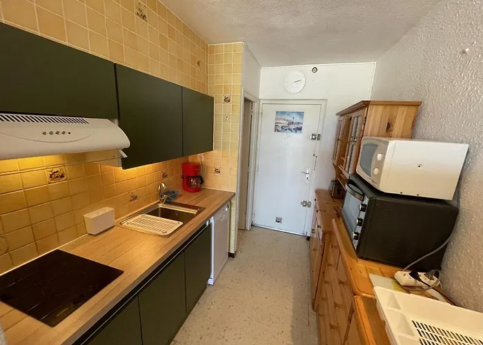 Climatisé Avec Wifi Et Parking à 100m De La - Fr-1-106-51 Appartement Saint-Cyprien (Pyrenees-Orientales)